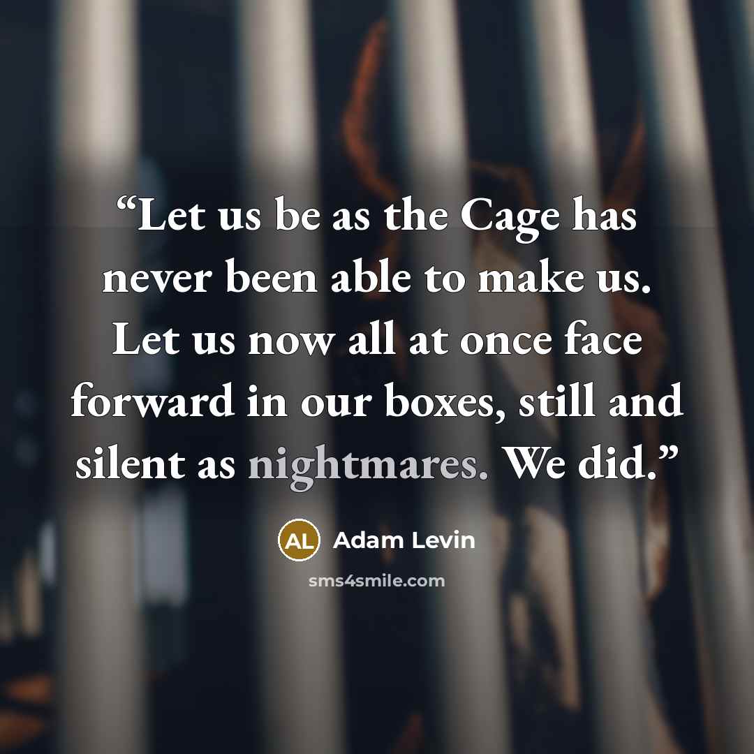 “Let us be as the Cage has never been able to make us. Let us now all at once face forward in our boxes, still and silent as nightmares. We did.” quote by Adam Levin