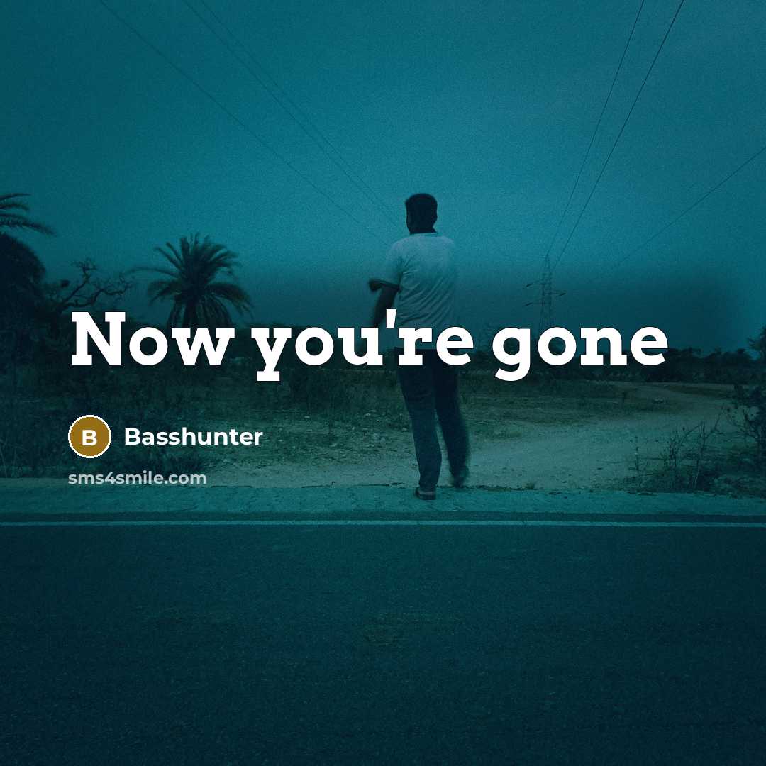 “Now you're gone” quote by Basshunter