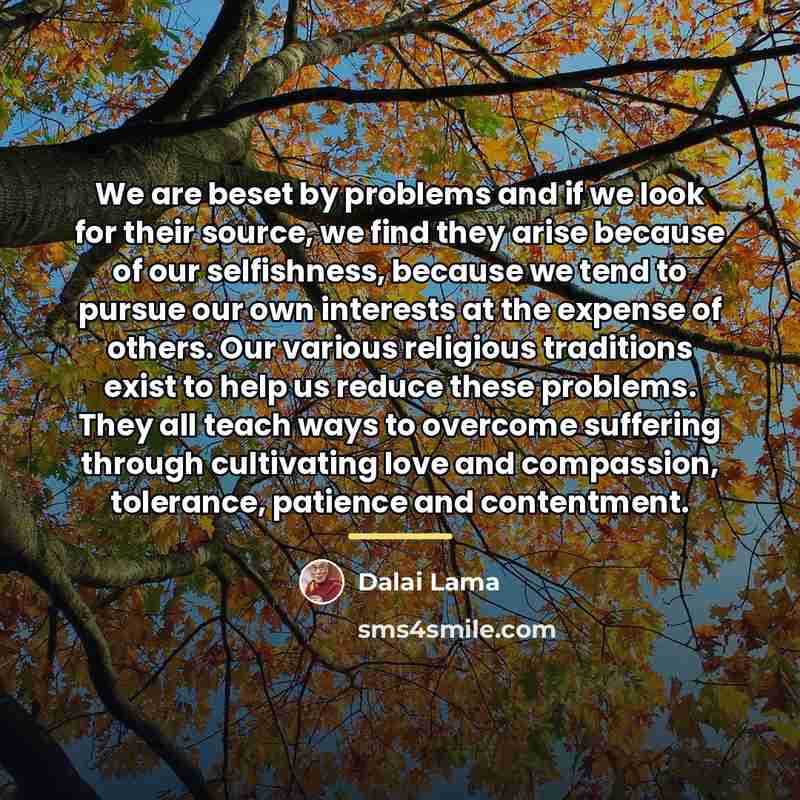 “We are beset by problems and if we look for…” quote by Dalai Lama