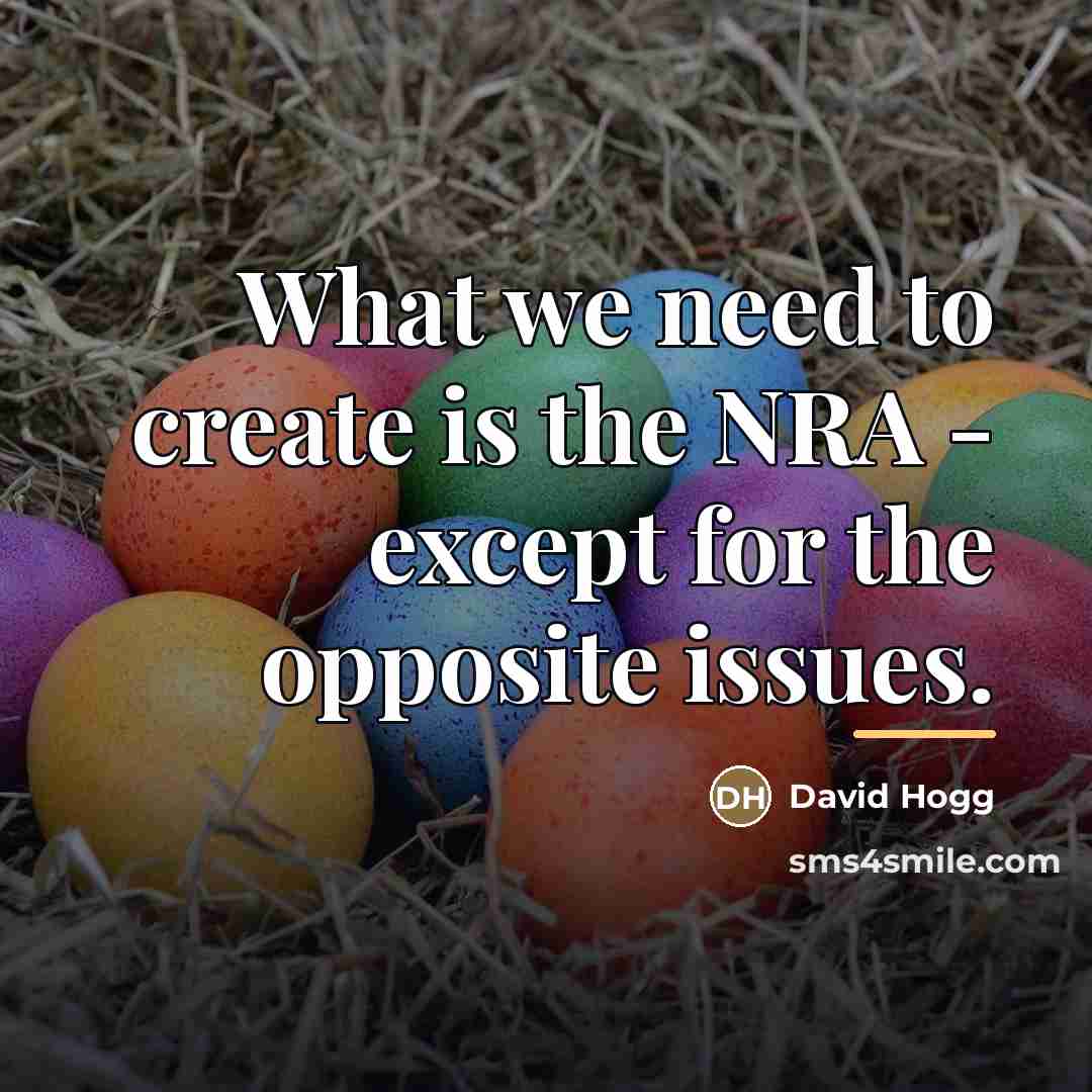 “What we need to create is the NRA - except…” quote by David Hogg