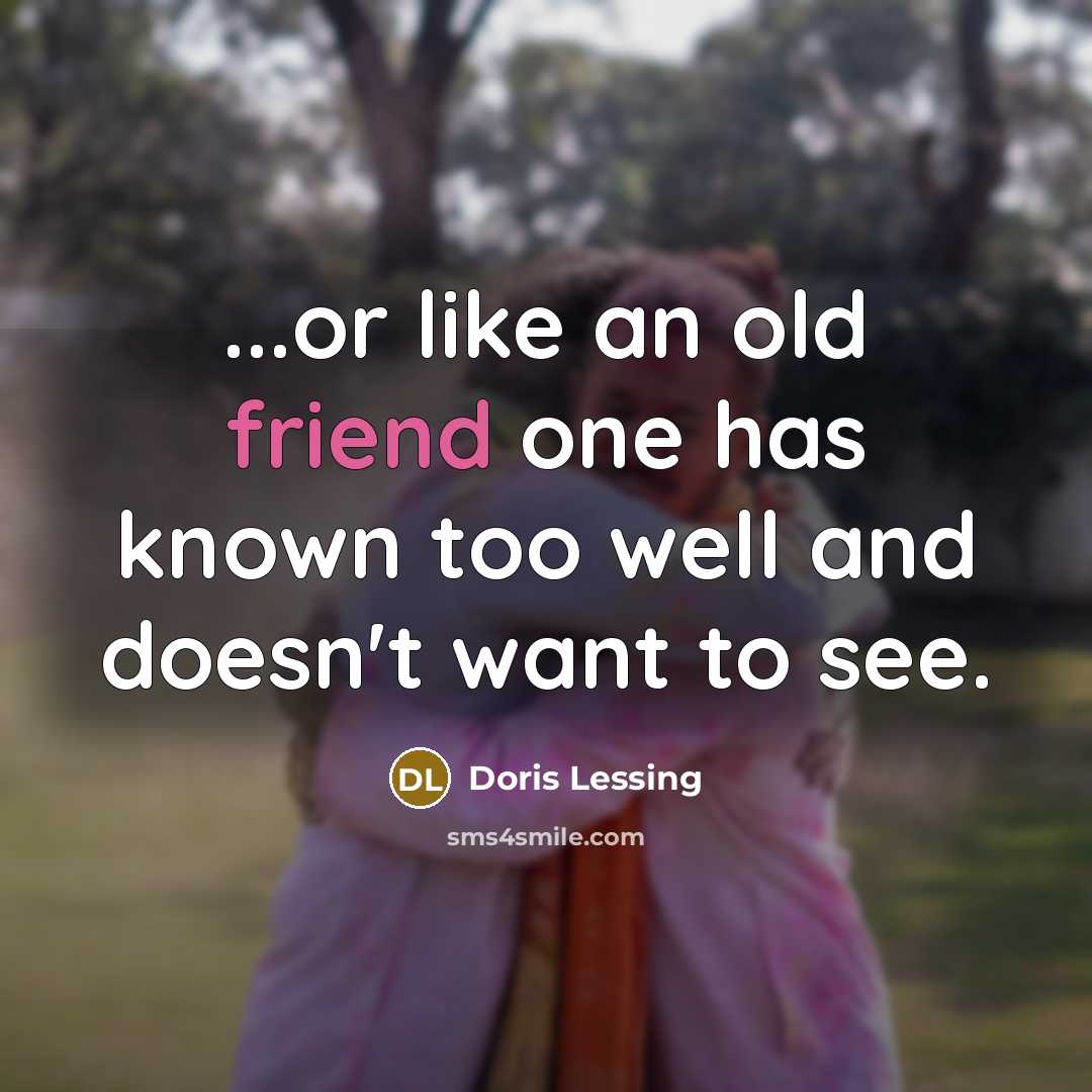 “...or like an old friend one has known too well…” quote by Doris Lessing