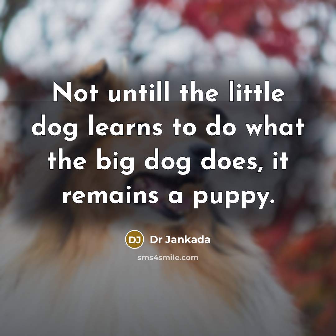 “Not untill the little dog learns to do what the…” quote by Dr Jankada