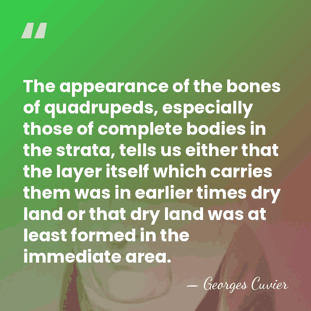 The appearance of the bones of quadrupeds, especially those of complete bodies&hellip; - Georges Cuvier