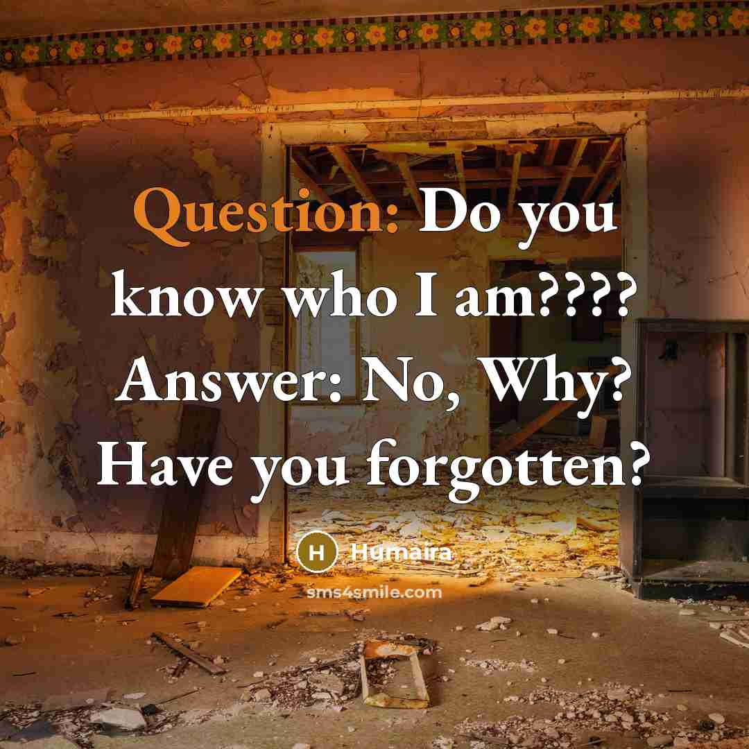 “Question: Do you know who I am???? Answer: No, Why? Have you forgotten?” quote by Humaira