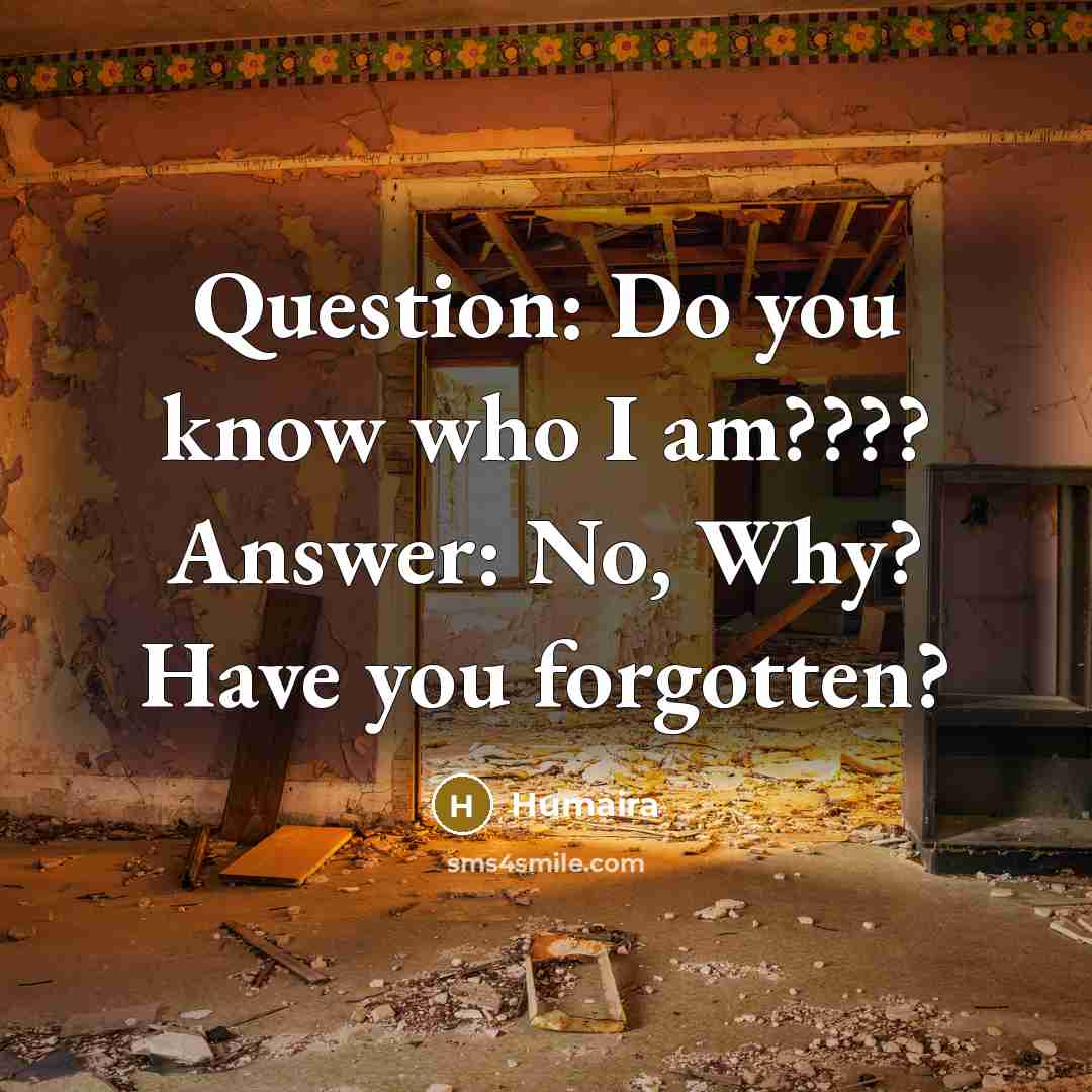 “Question: Do you know who I am???? Answer: No, Why?…” quote by Humaira