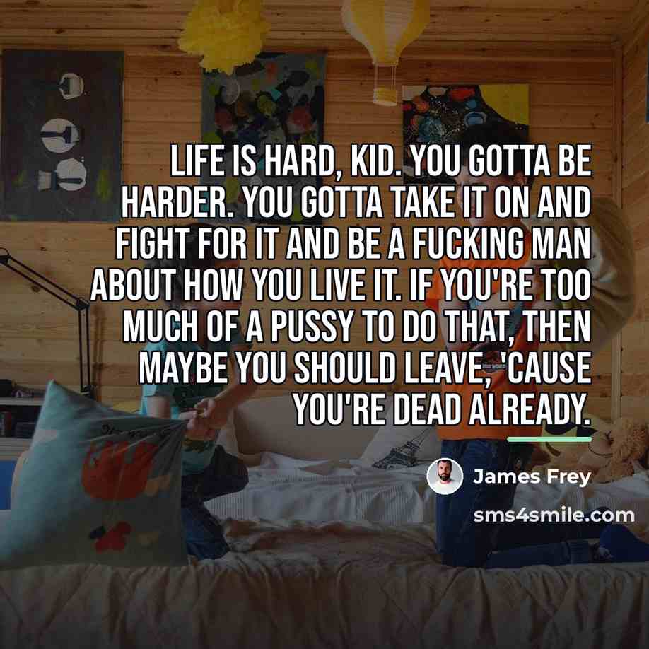 “Life is hard, kid. you gotta be harder. you gotta…” quote by James Frey