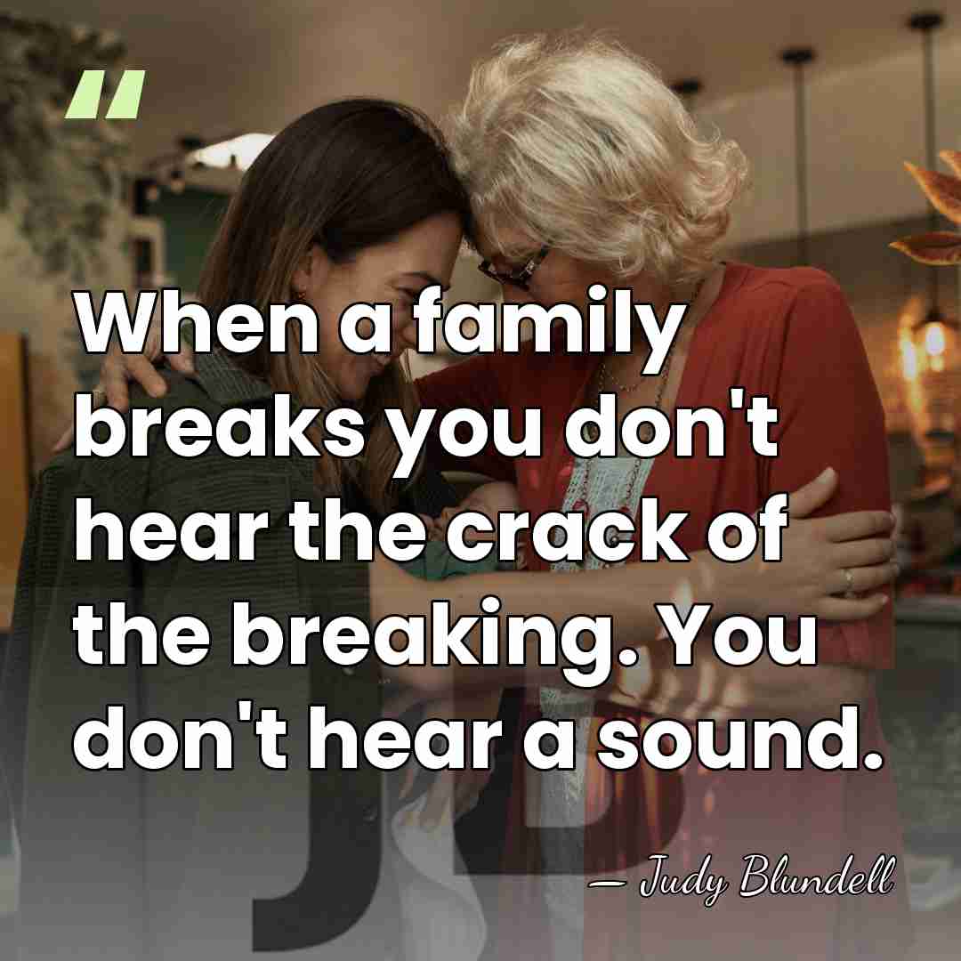 When a family breaks you don't hear the crack of the breaking.&hellip; - Judy Blundell
