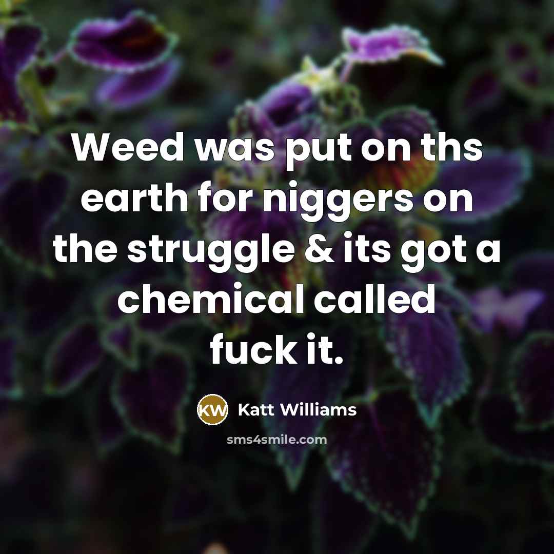 “Weed was put on ths earth for niggers on the…” quote by Katt Williams