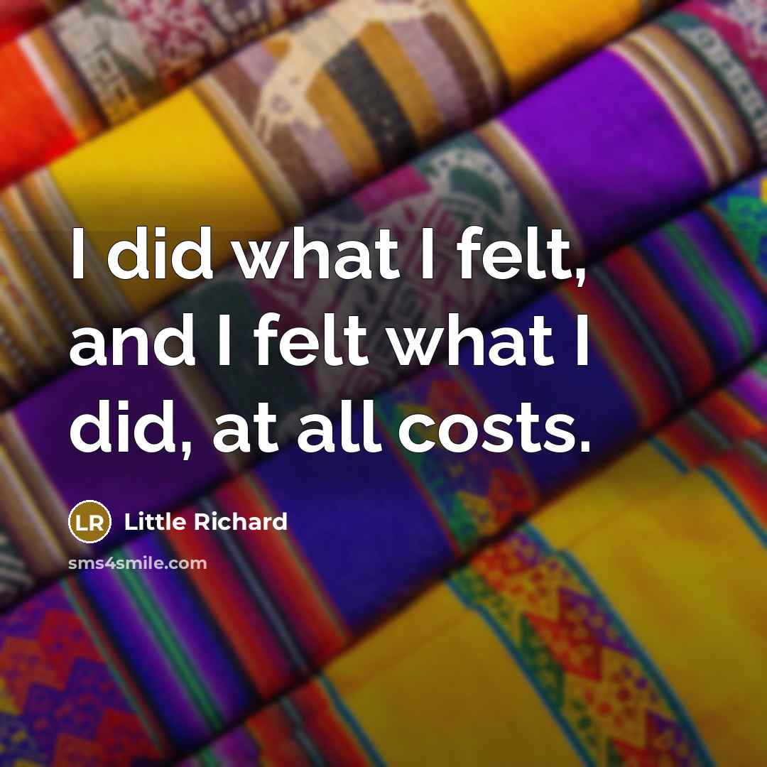 “I did what I felt, and I felt what I…” quote by Little Richard