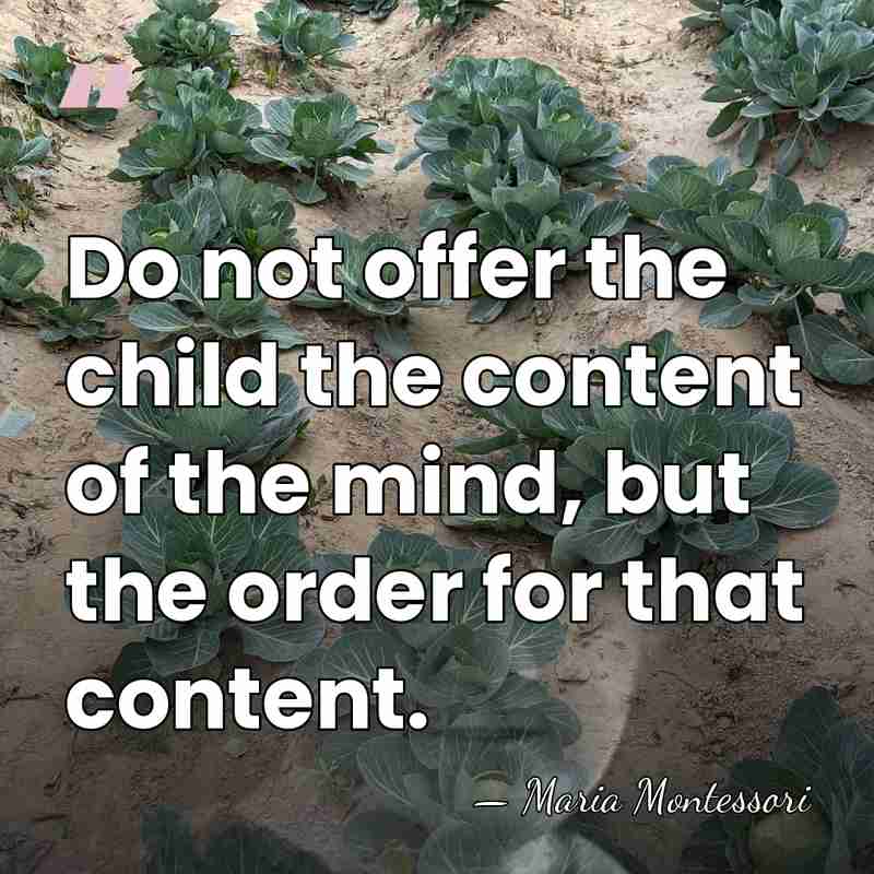 Do not offer the child the content of the mind, but the&hellip; - Maria Montessori