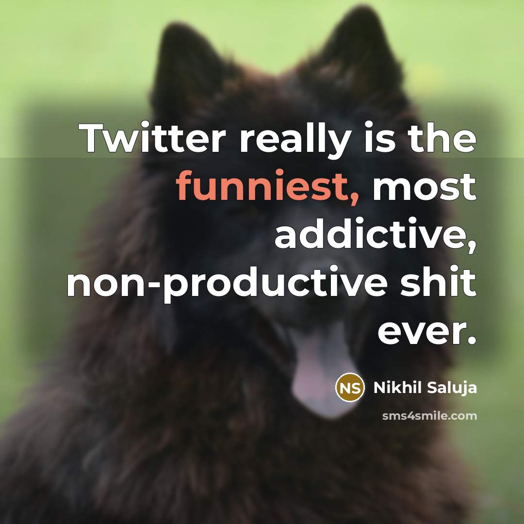 “Twitter really is the funniest, most addictive, non-productive shit ever.” quote by Nikhil Saluja
