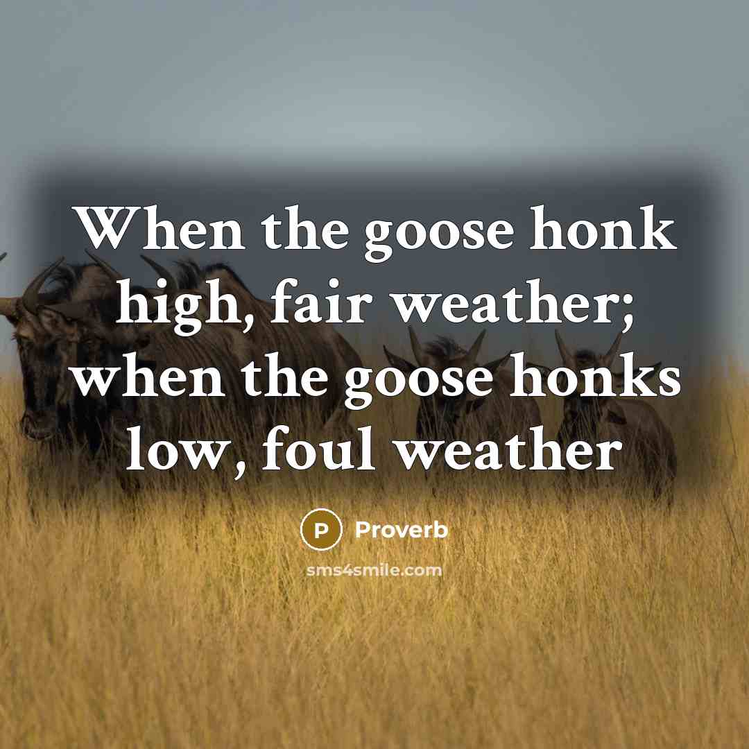 “When the goose honk high, fair weather; when the goose…” quote by Proverb