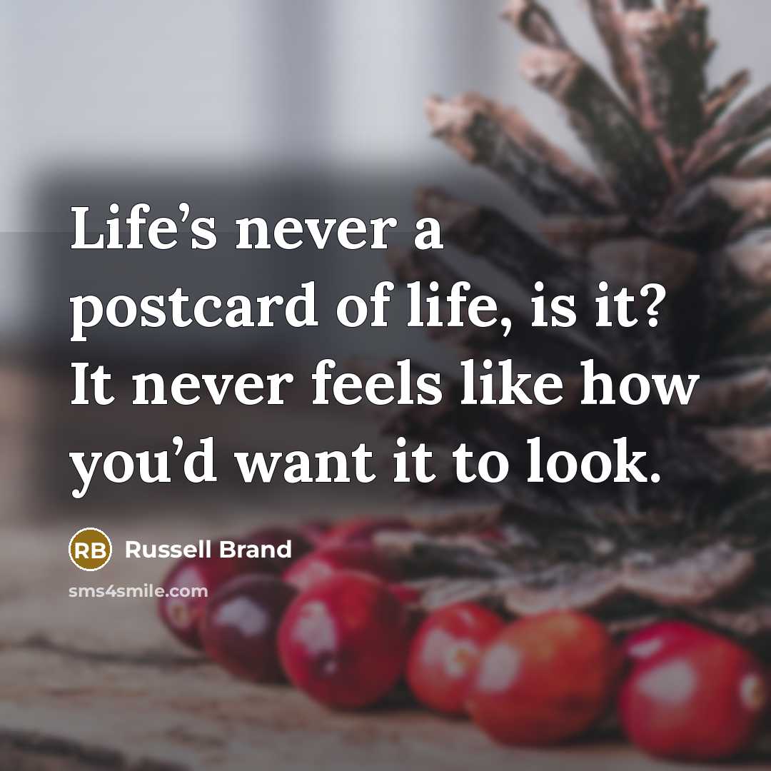 “Life’s never a postcard of life, is it? It never…” quote by Russell Brand