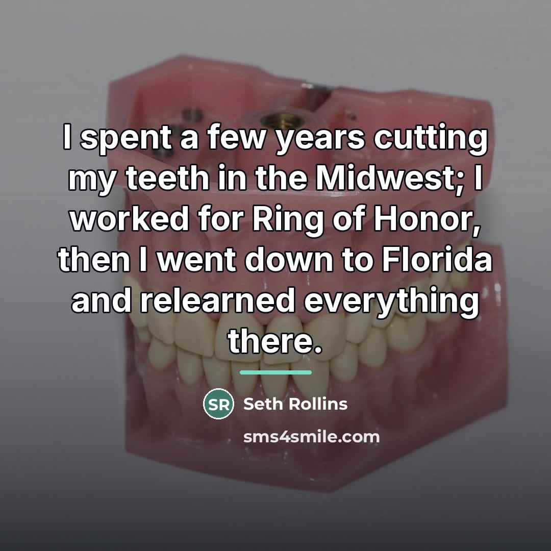 “I spent a few years cutting my teeth in the…” quote by Seth Rollins