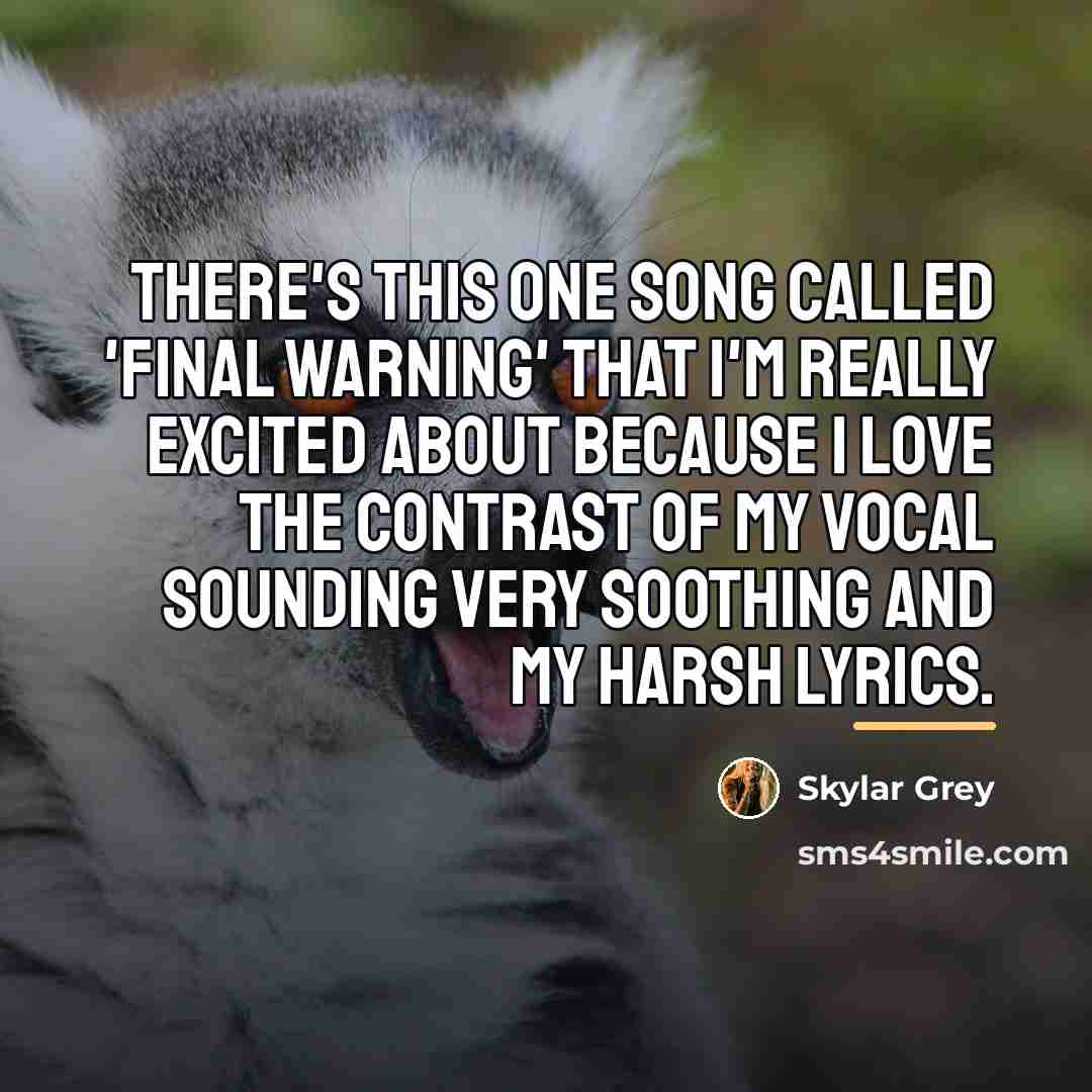 “There's this one song called 'Final Warning' that I'm really…” quote by Skylar Grey