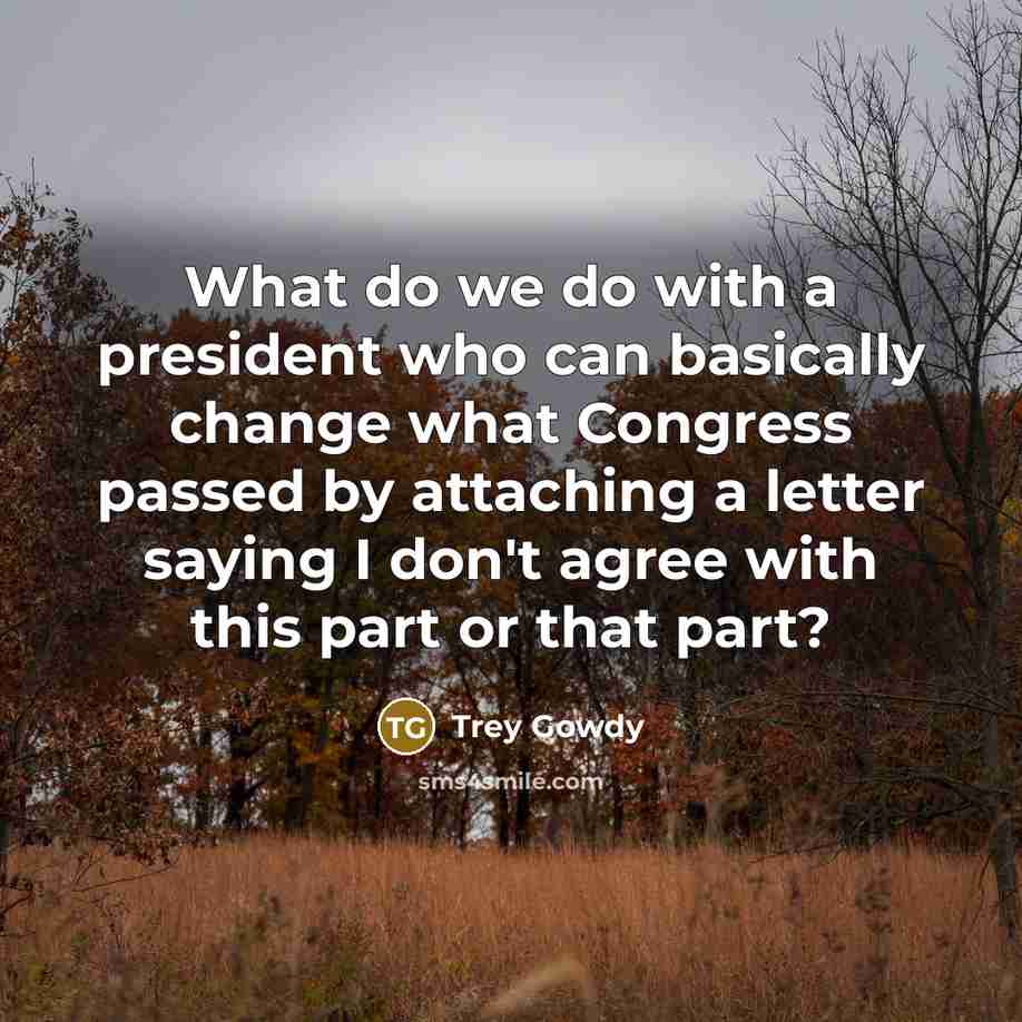 “What do we do with a president who can basically…” quote by Trey Gowdy