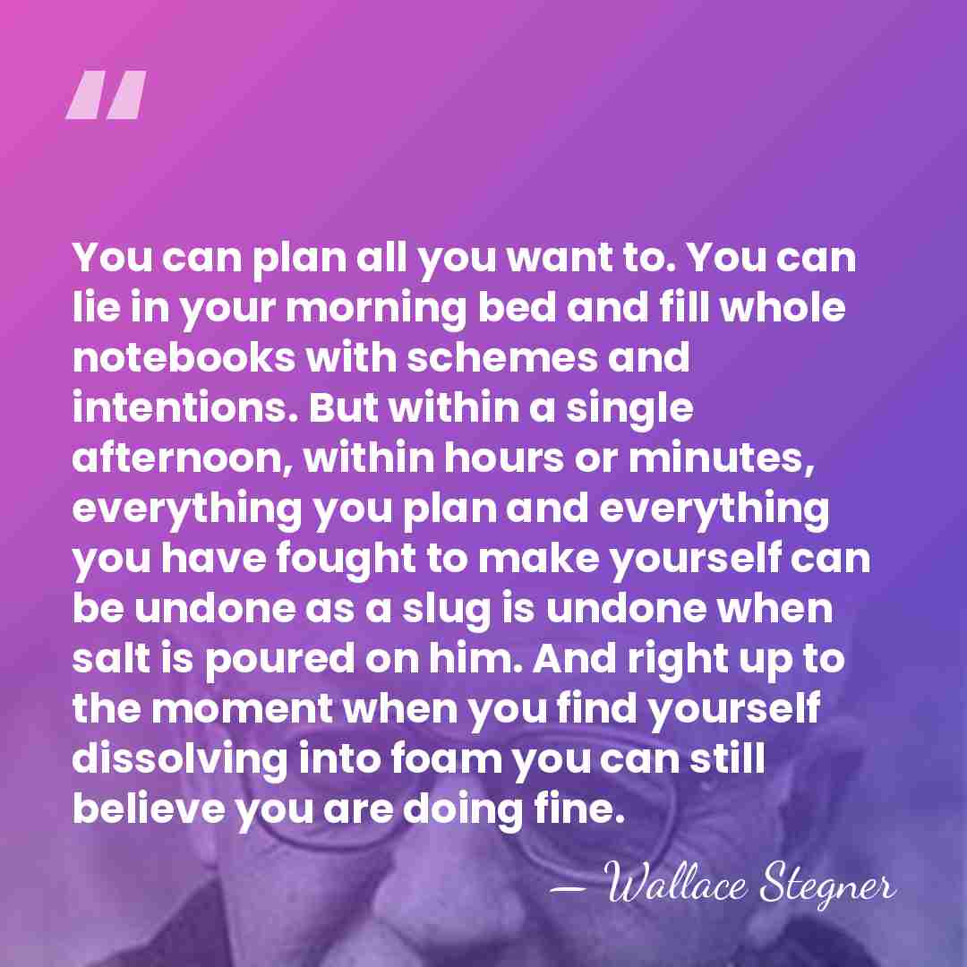 You can plan all you want to. You can lie in your&hellip; - Wallace Stegner