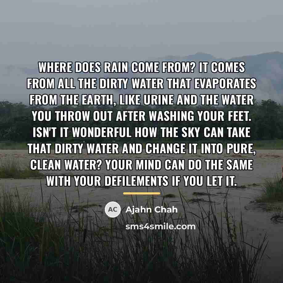 “Where does rain come from? It comes from all the…” quote by Ajahn Chah