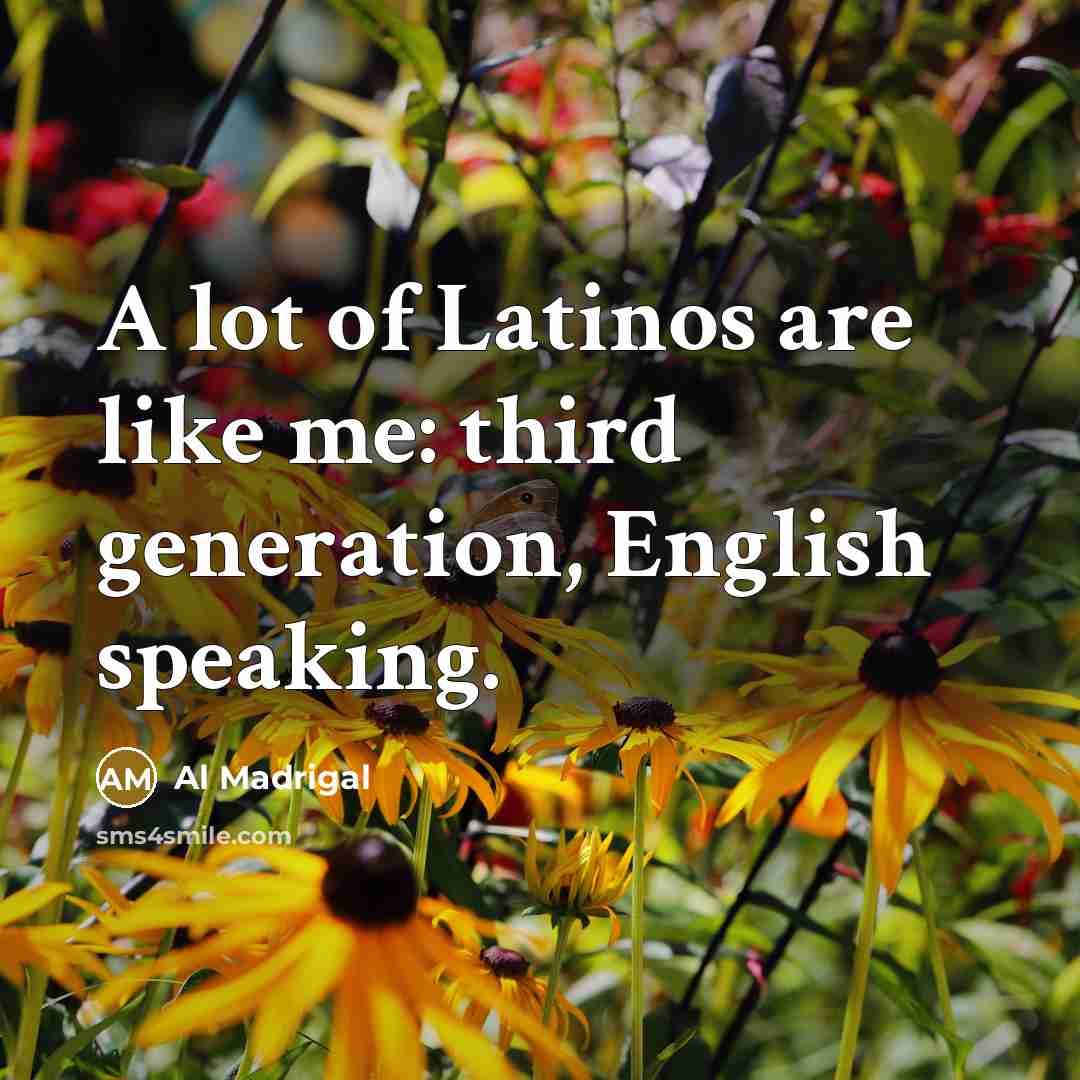 “A lot of Latinos are like me: third generation, English…” quote by Al Madrigal