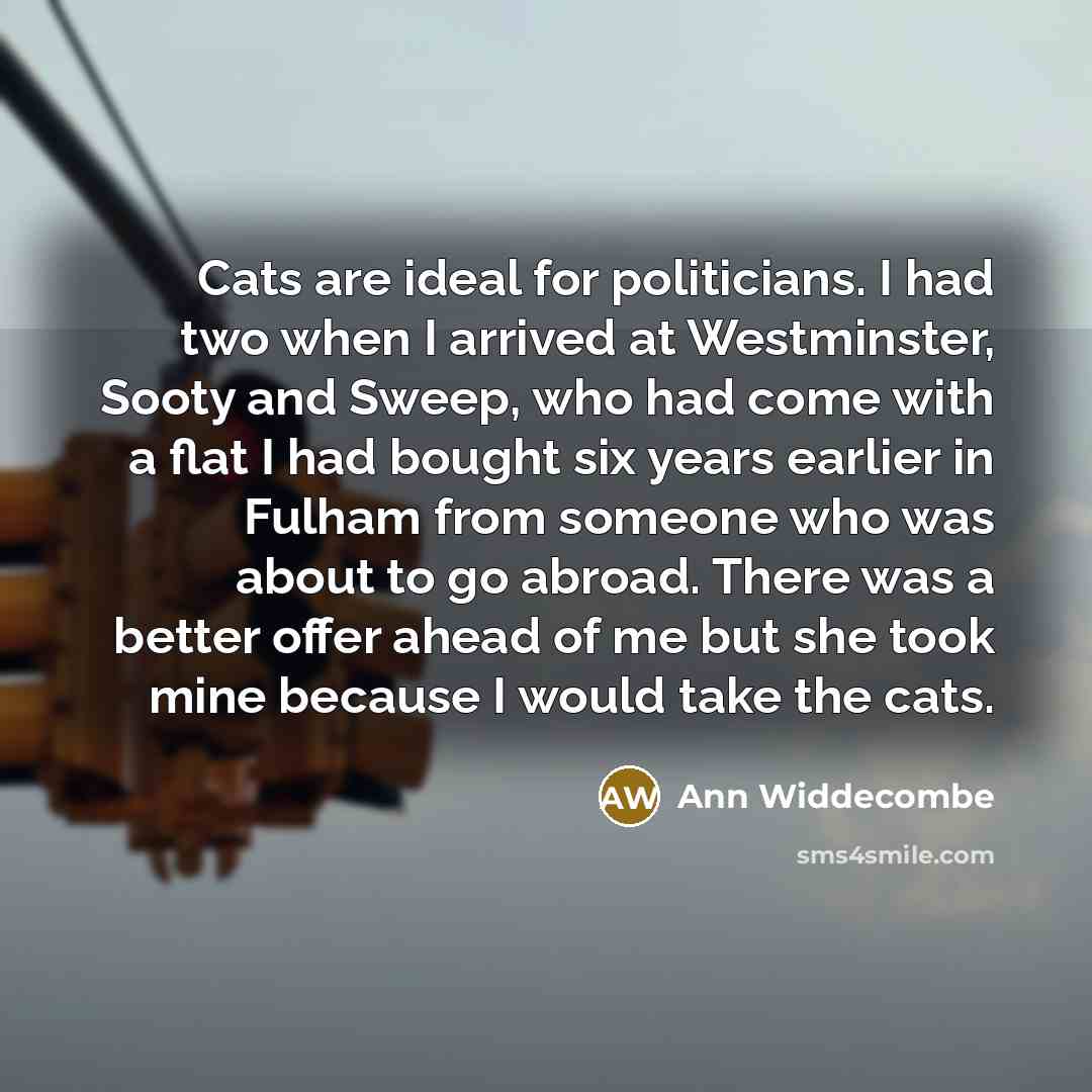 “Cats are ideal for politicians. I had two when I…” quote by Ann Widdecombe