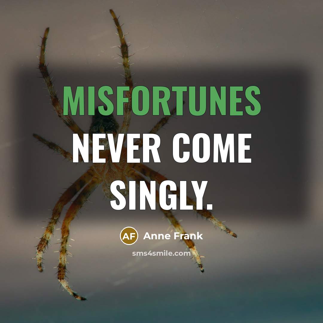 “Misfortunes never come singly.” quote by Anne Frank