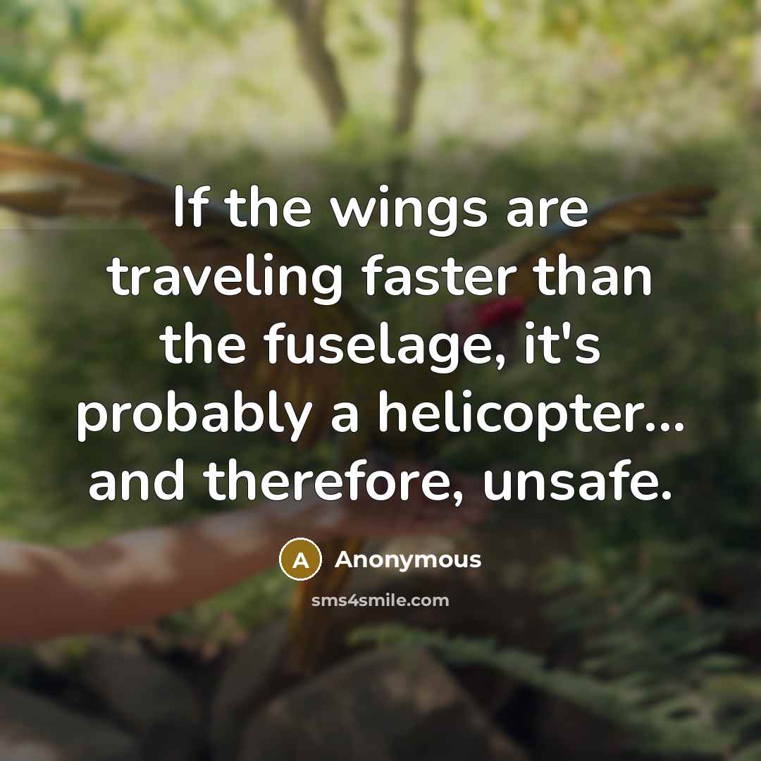 “If the wings are traveling faster than the fuselage, it's…” quote by Anonymous