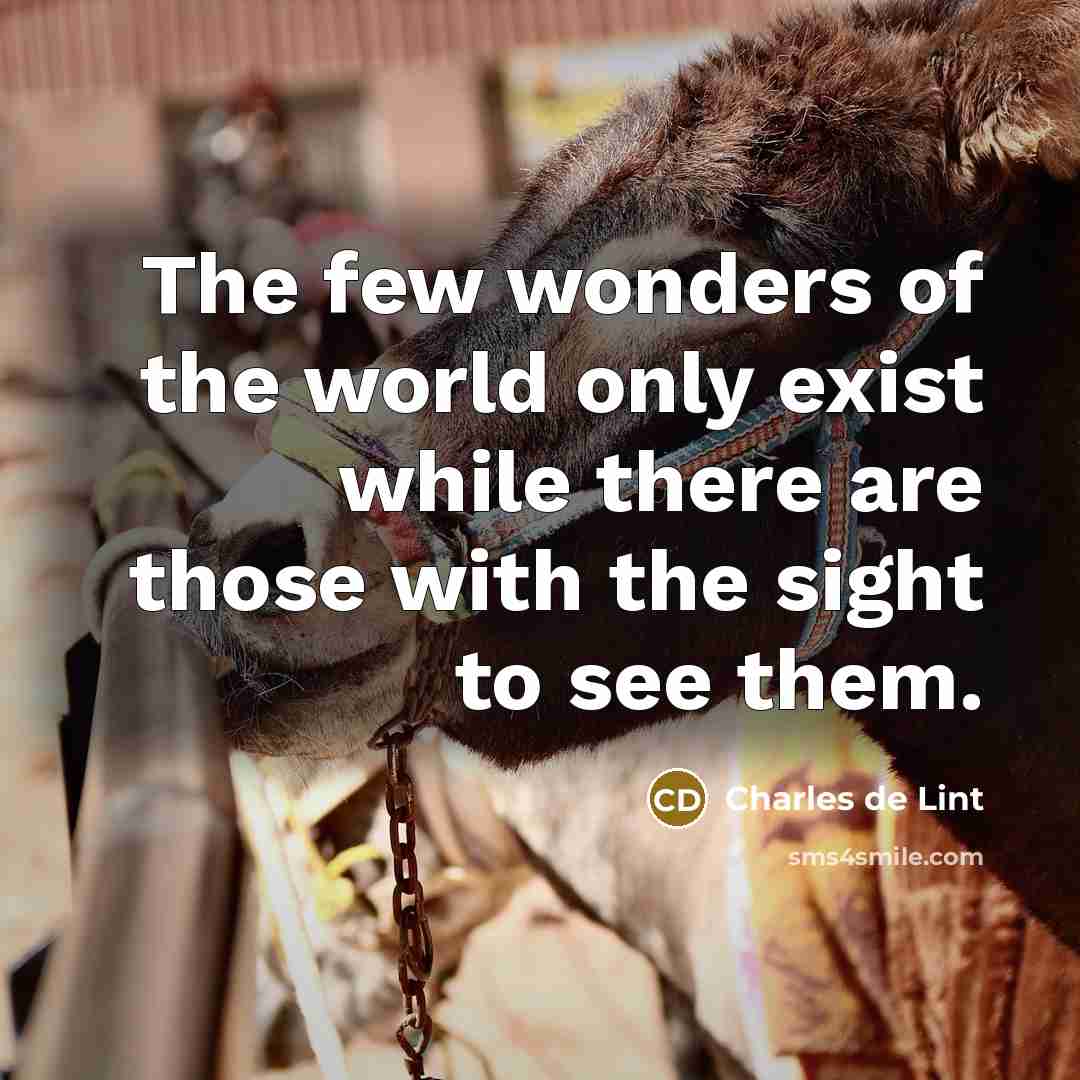 “The few wonders of the world only exist while there…” quote by Charles De Lint