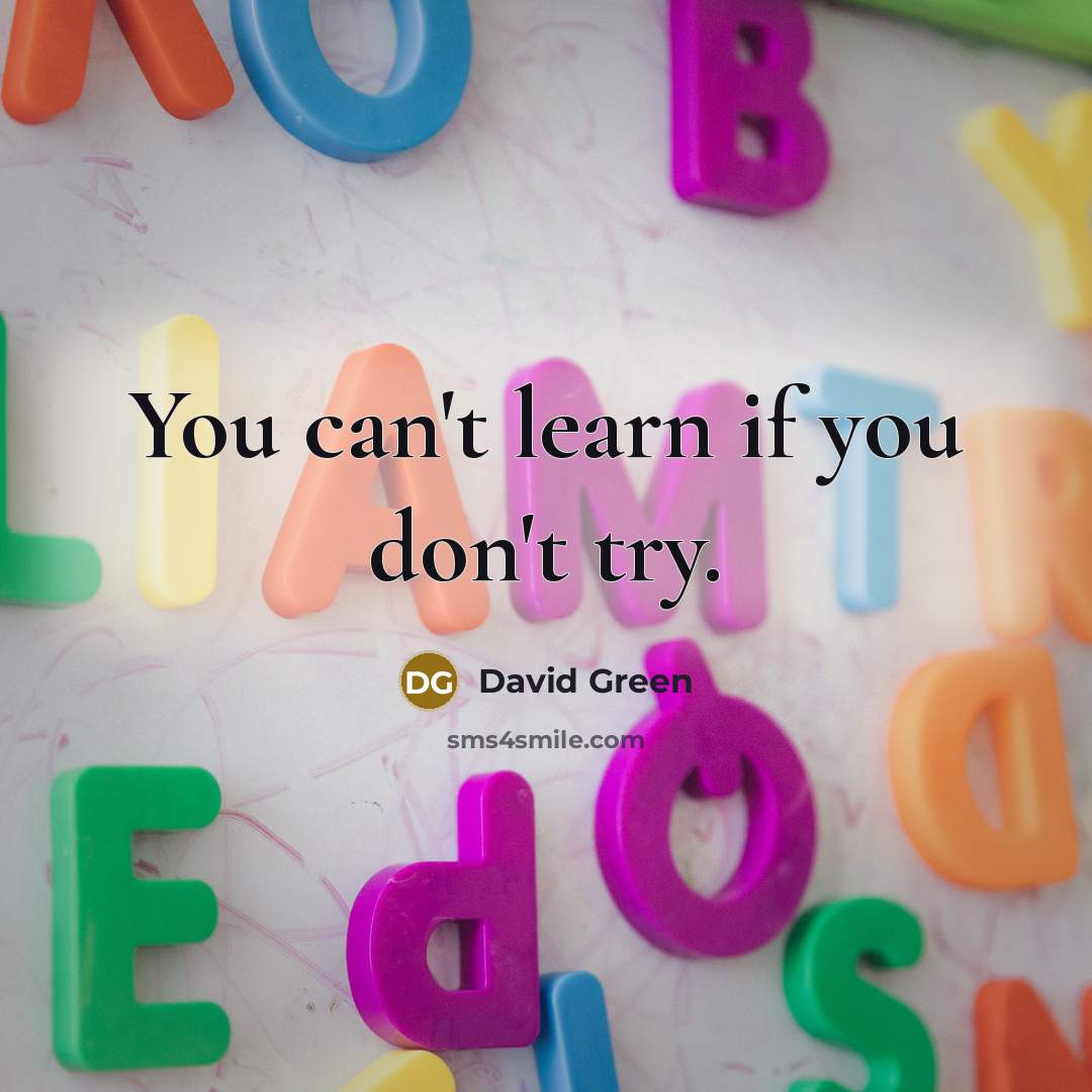 “You can't learn if you don't try.…” quote by David Green