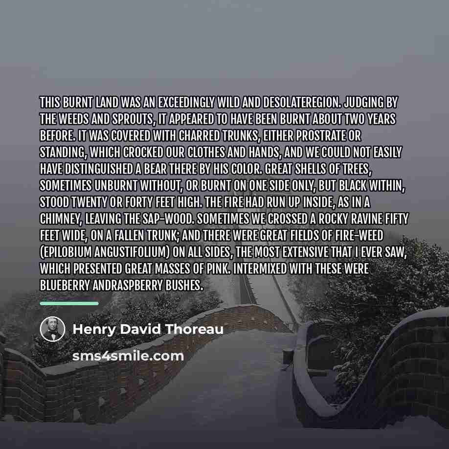 “This burnt land was an exceedingly wild and desolateregion. Judging…” quote by Henry David Thoreau
