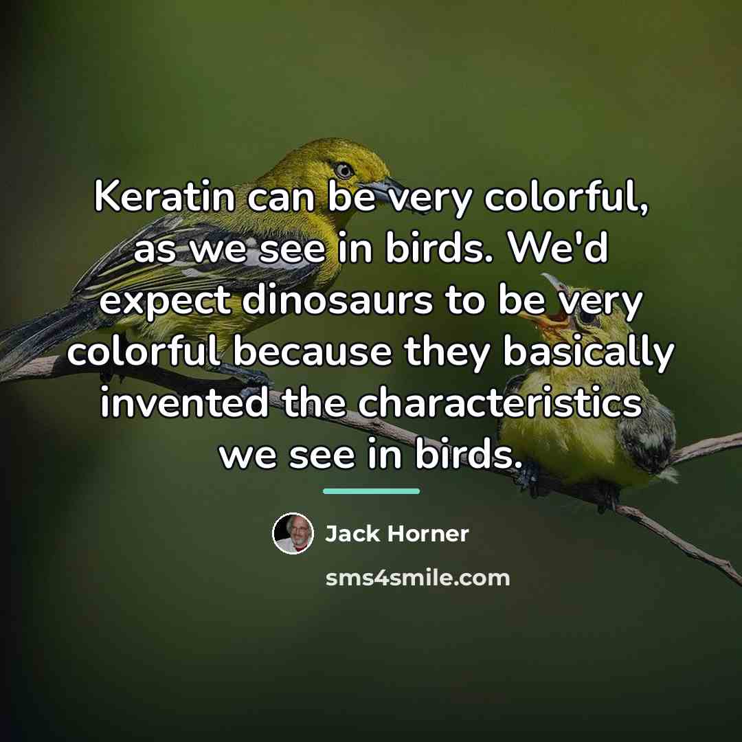 “Keratin can be very colorful, as we see in birds.…” quote by Jack Horner