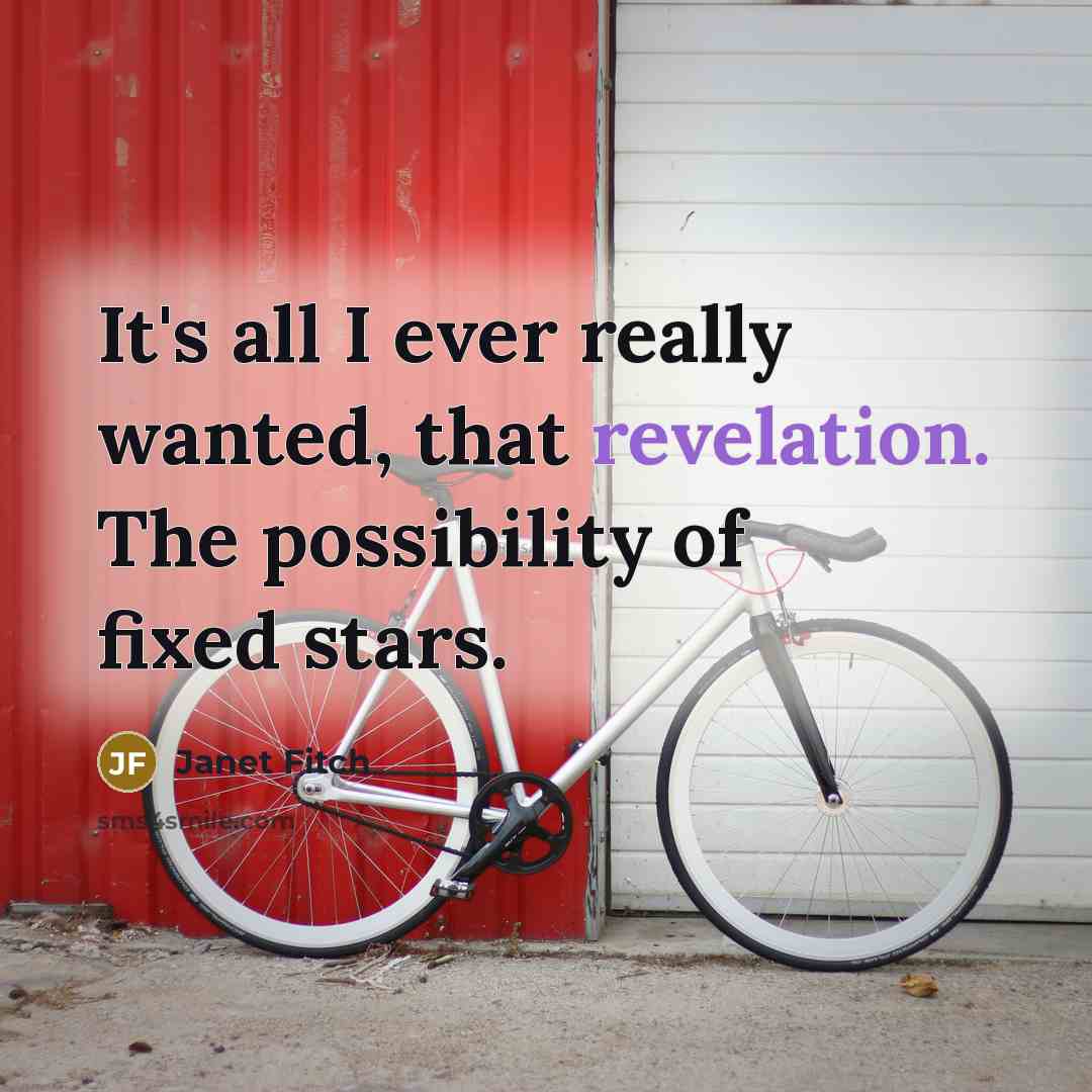 “It's all I ever really wanted, that revelation. The possibility…” quote by Janet Fitch