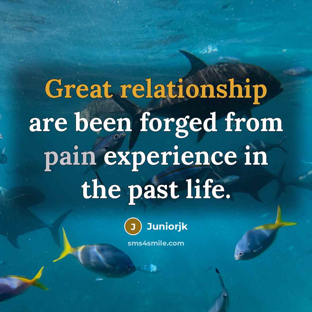“Great relationship are been forged from pain experience in the past life.” quote by Juniorjk