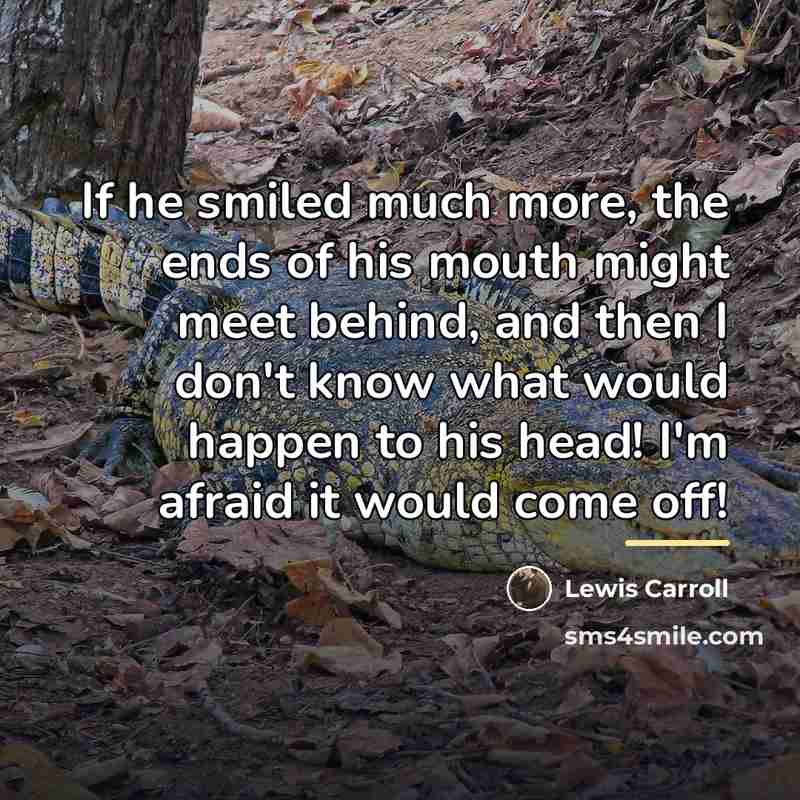 “If he smiled much more, the ends of his mouth…” quote by Lewis Carroll