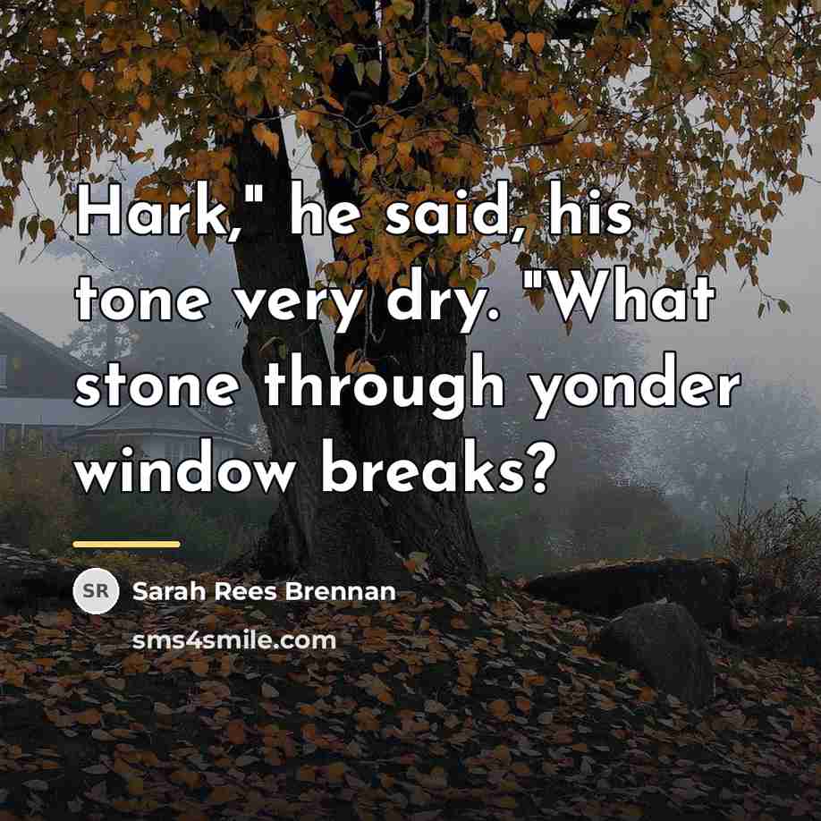 “Hark," he said, his tone very dry. "What stone through…” quote by Sarah Rees Brennan