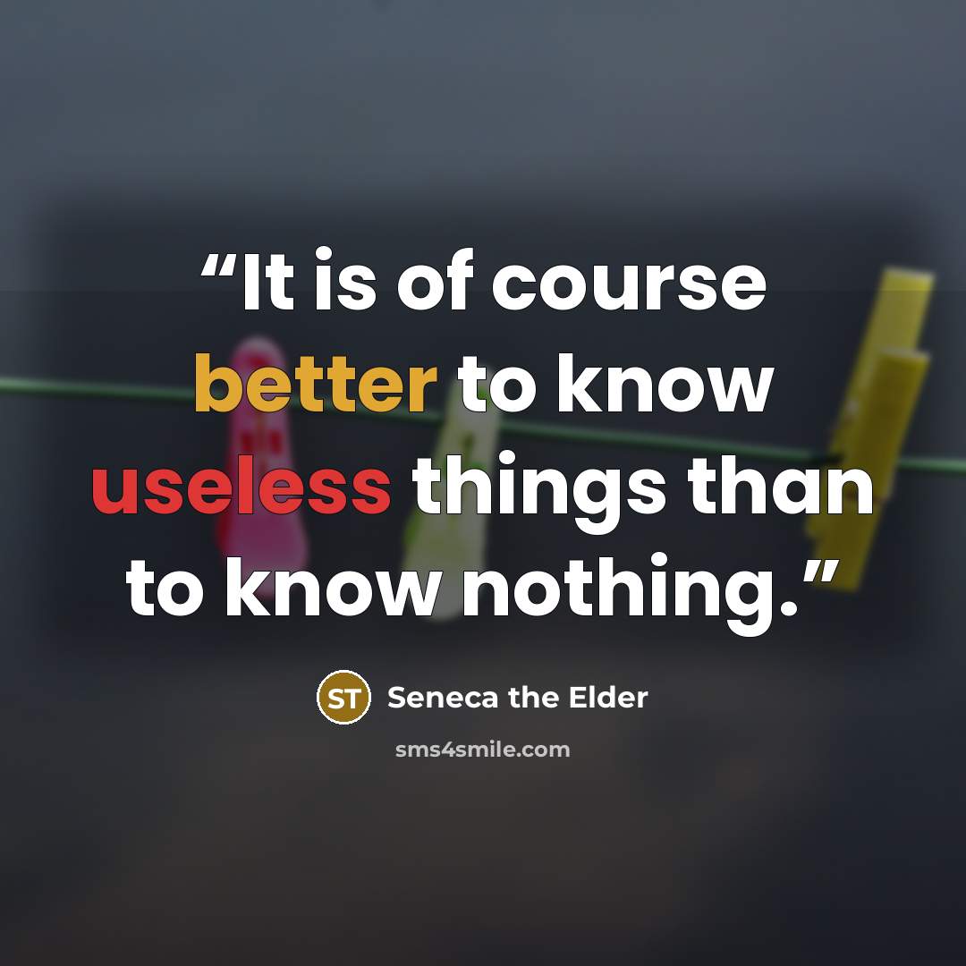 “It is of course better to know useless things than to know nothing.” quote by Seneca the Elder