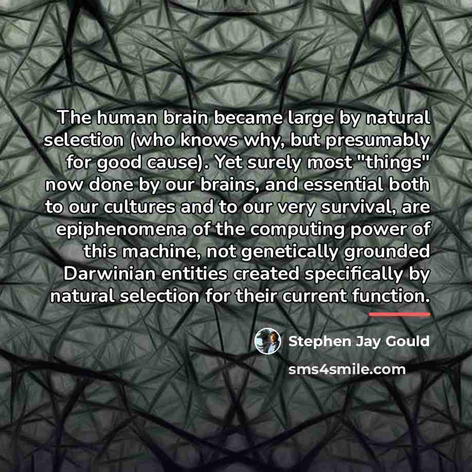 “The human brain became large by natural selection (who knows…” quote by Stephen Jay Gould