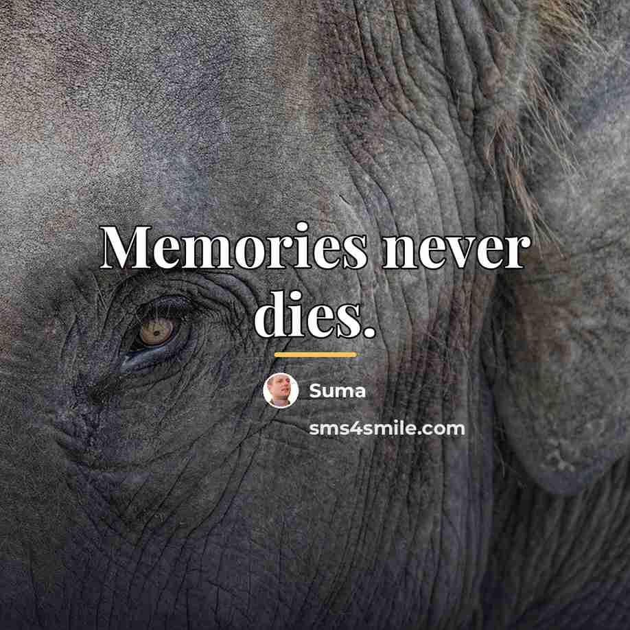 “Memories never dies.…” quote by Suma