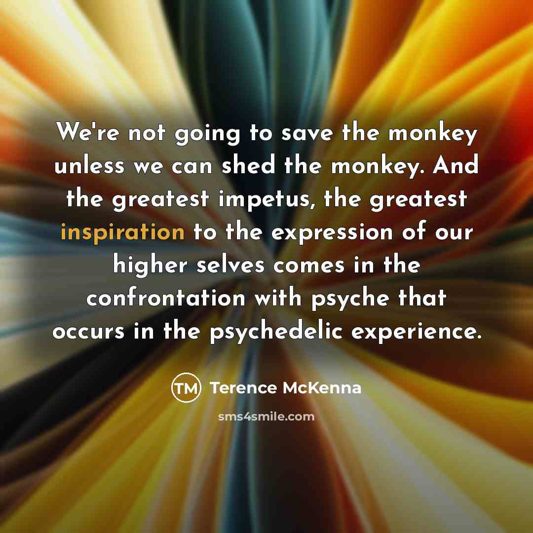 “We're not going to save the monkey unless we can…” quote by Terence McKenna