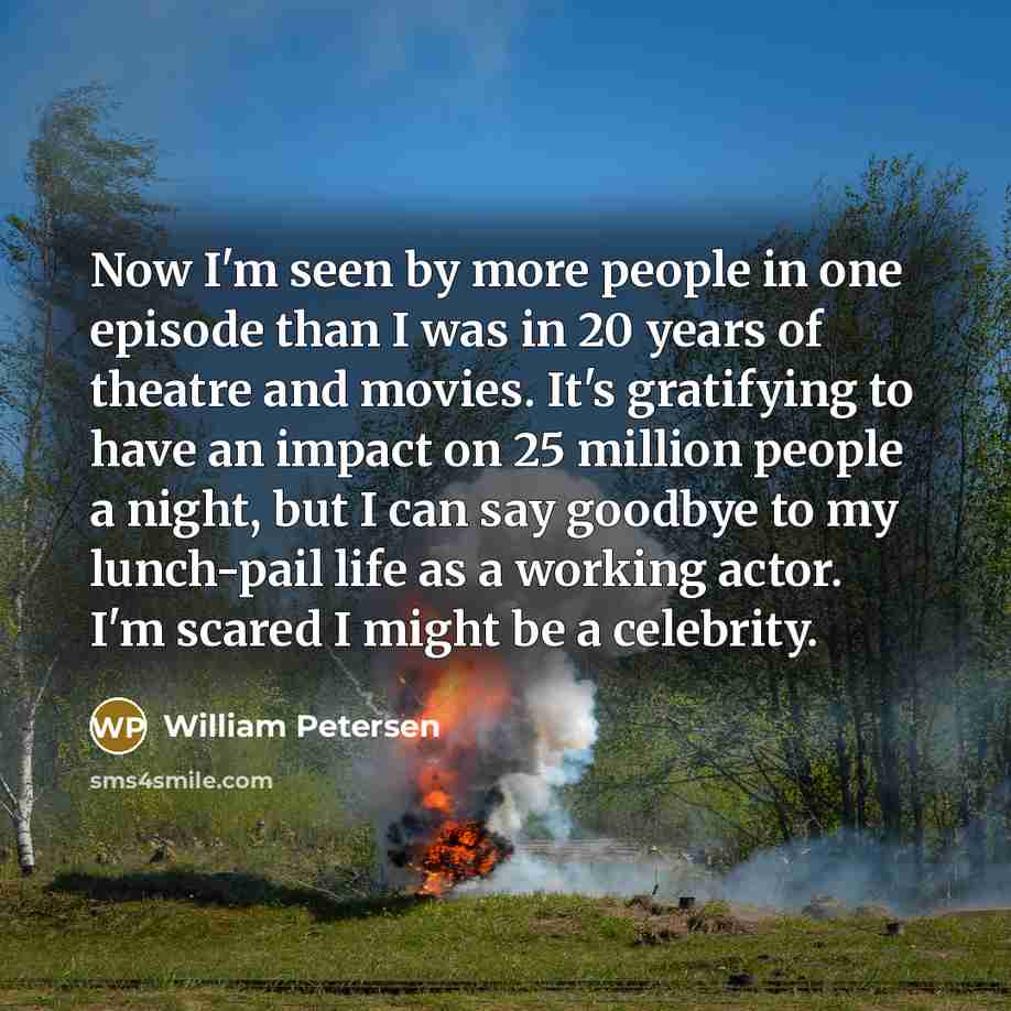 “Now I'm seen by more people in one episode than…” quote by William Petersen