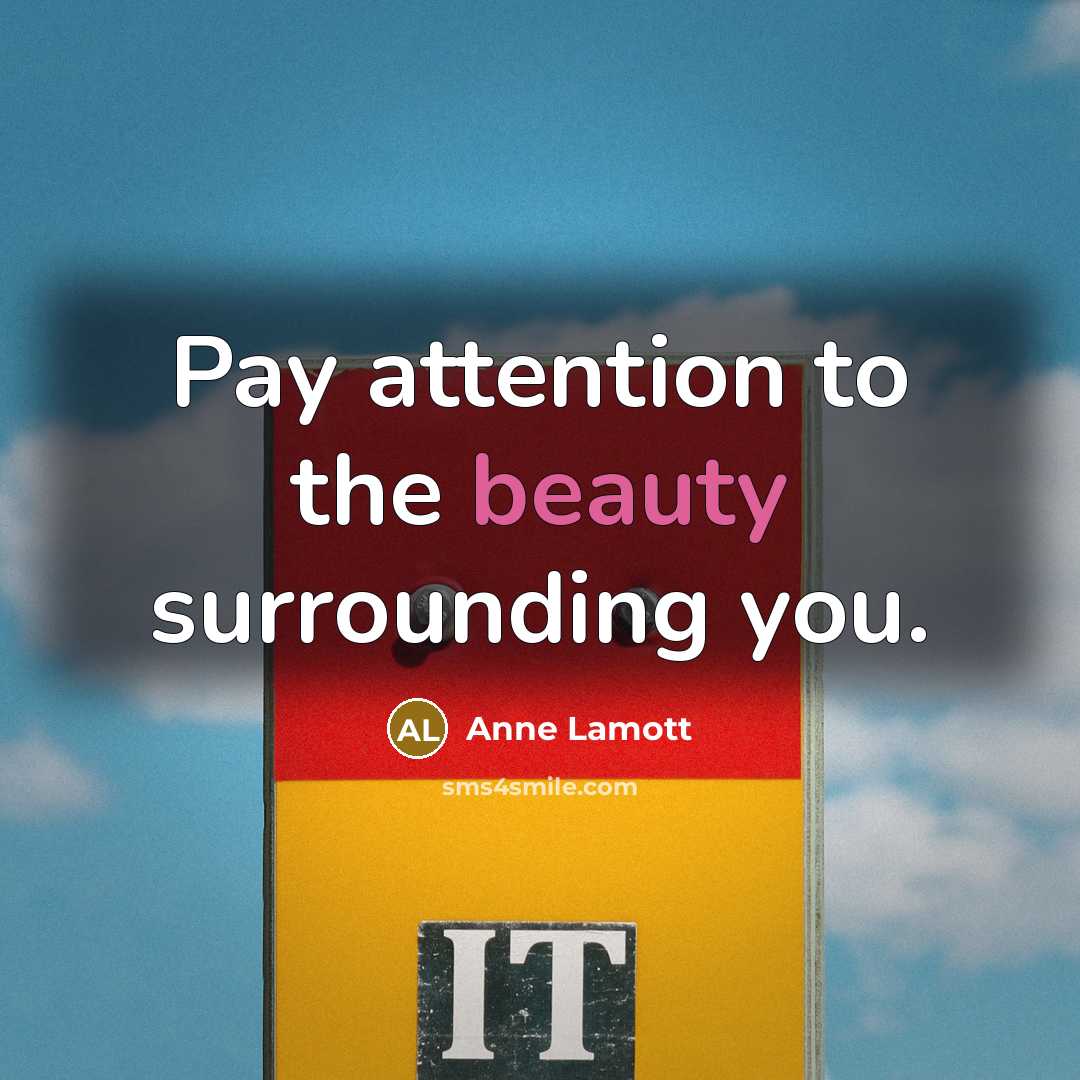 “Pay attention to the beauty surrounding you.…” quote by Anne Lamott