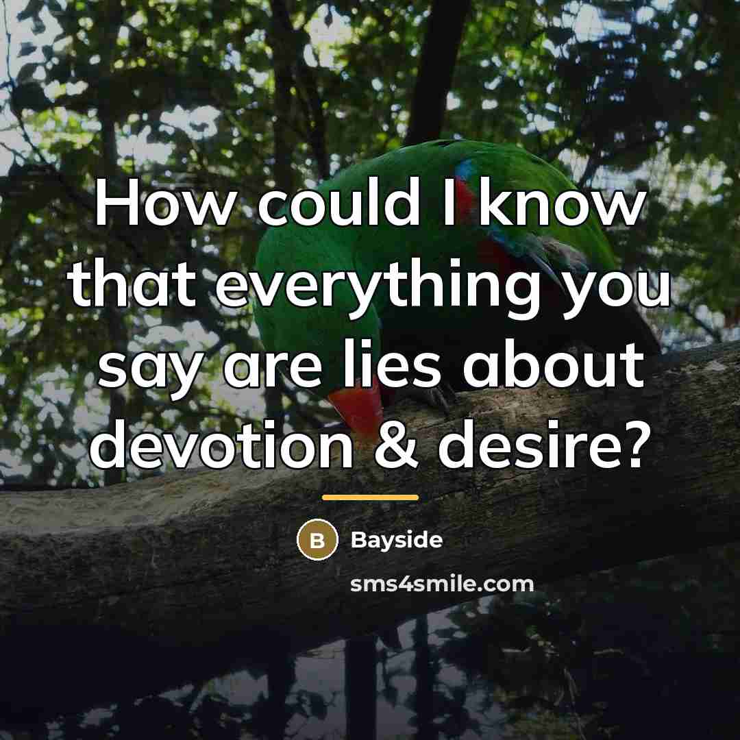 “How could I know that everything you say are lies…” quote by Bayside