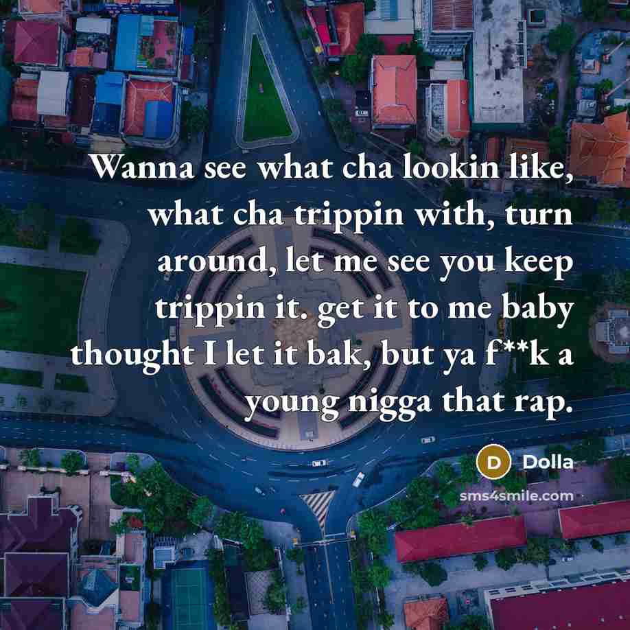 “Wanna see what cha lookin like, what cha trippin with,…” quote by Dolla