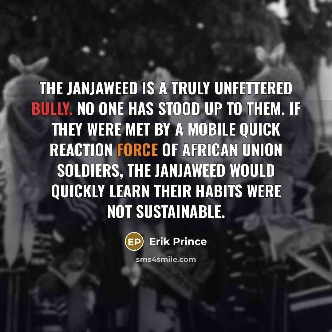 “The Janjaweed is a truly unfettered bully. No one has stood up to them. If they were met by a mobile quick reaction force of African Union soldiers, the Janjaweed would quickly learn their habits were not sustainable.” quote by Erik Prince