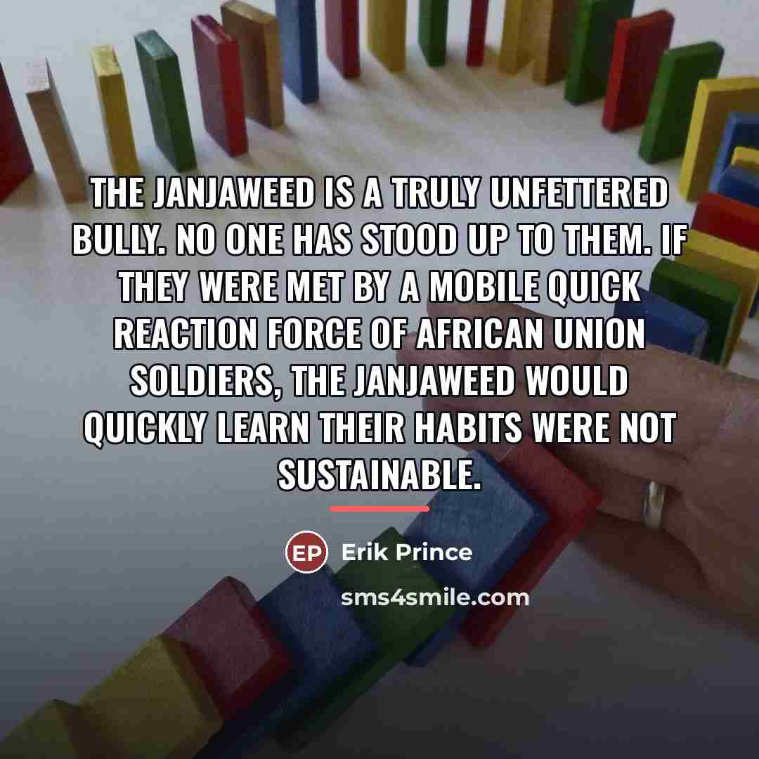 “The Janjaweed is a truly unfettered bully. No one has…” quote by Erik Prince