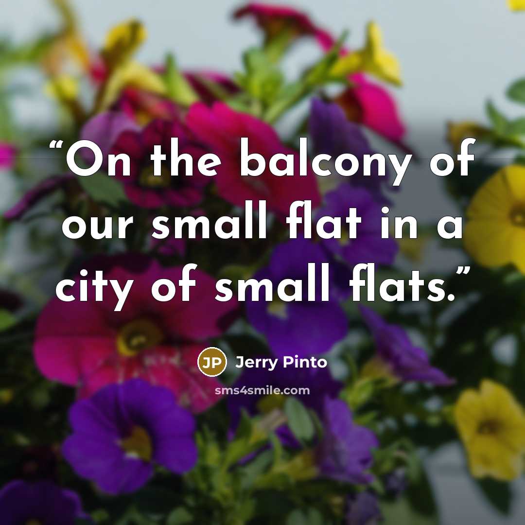 “On the balcony of our small flat in a city of small flats.” quote by Jerry Pinto