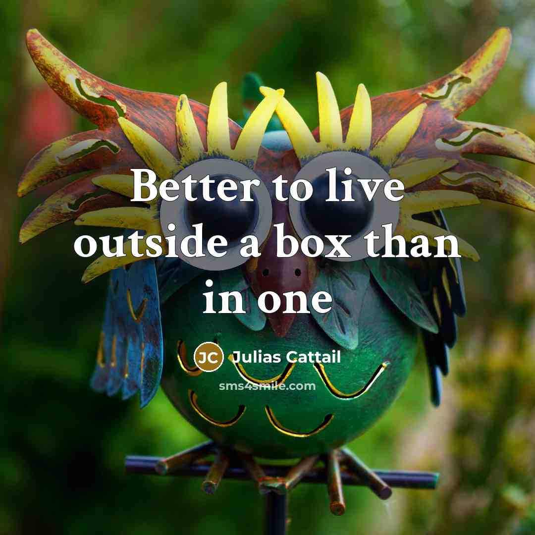 “Better to live outside a box than in one…” quote by Julias Cattail