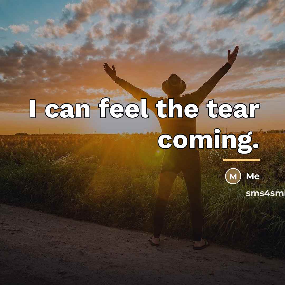 “I can feel the tear coming.…” quote by Me