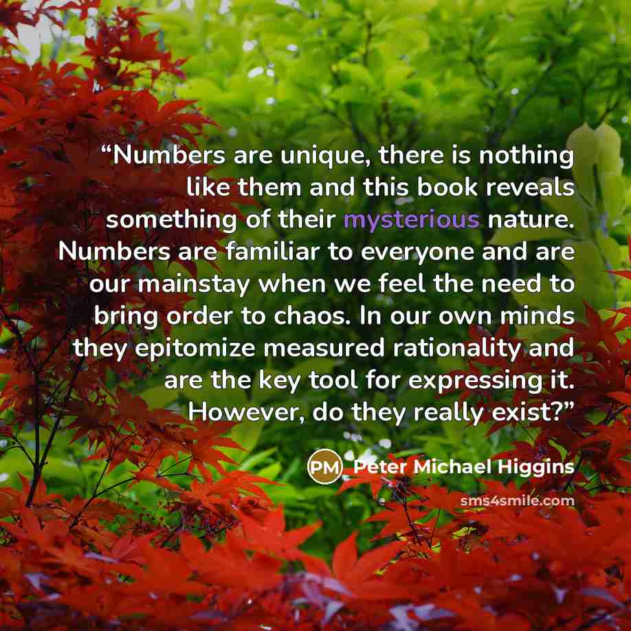 “Numbers are unique, there is nothing like them and this book reveals something of their mysterious nature. Numbers are familiar to everyone and are our mainstay when we feel the need to bring order to chaos. In our own minds they epitomize measured rationality and are the key tool for expressing…” quote by Peter Michael Higgins