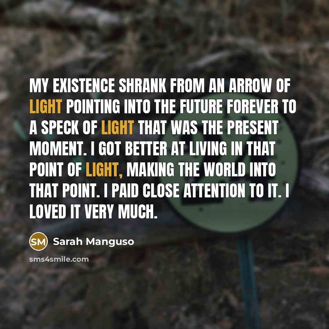 “My existence shrank from an arrow of light pointing into…” quote by Sarah Manguso