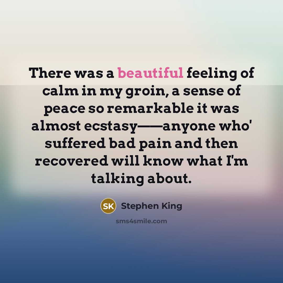 “There was a beautiful feeling of calm in my groin,…” quote by Stephen King